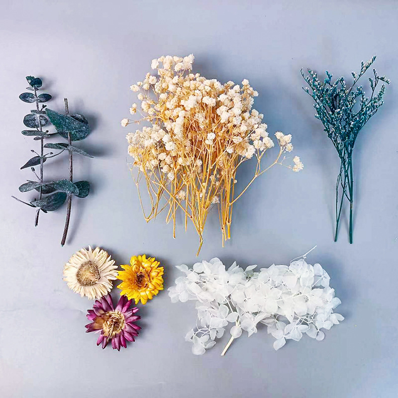 1 zestaw różnorodnych suszonyc – Craft Embellishments recenzja i cena