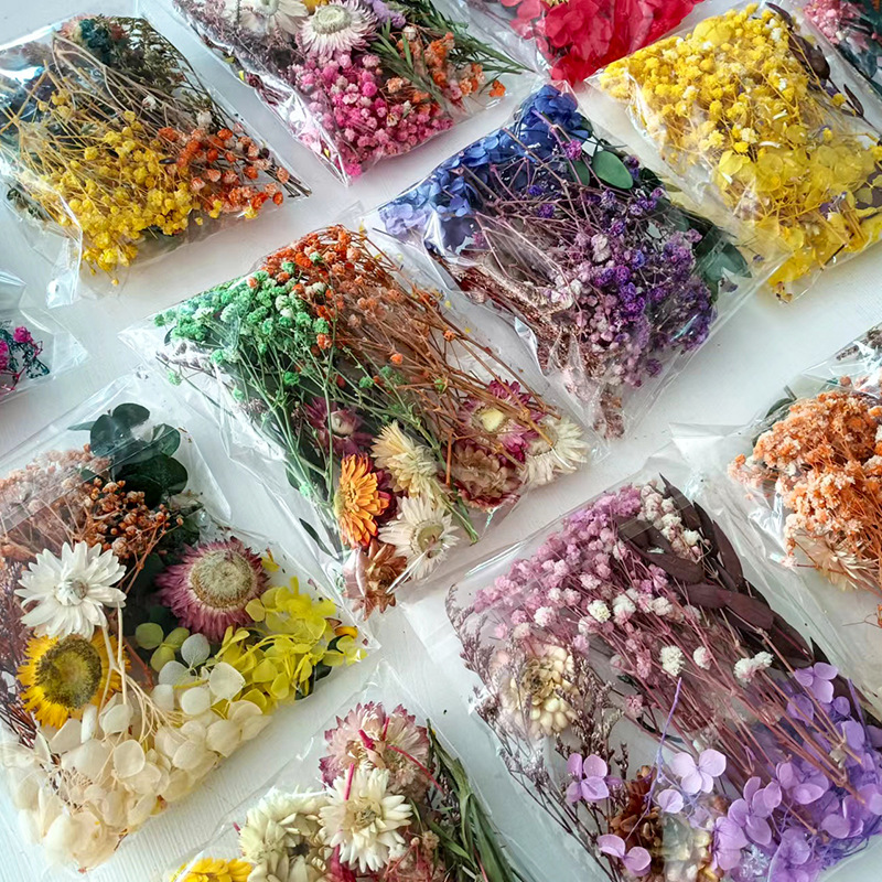 1 zestaw różnorodnych suszonyc – Craft Embellishments recenzja i cena