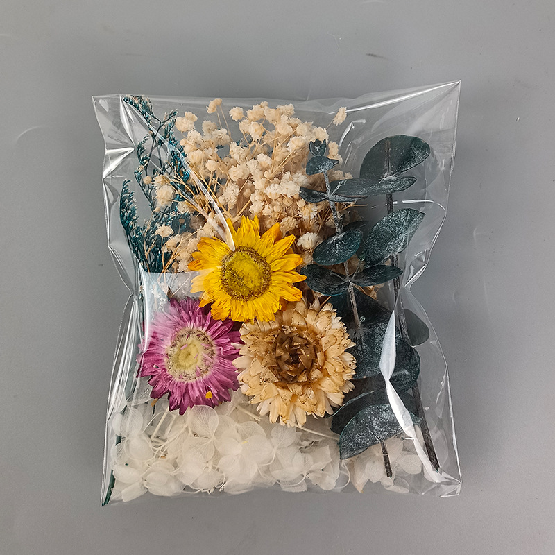1 zestaw różnorodnych suszonyc – Craft Embellishments recenzja i cena